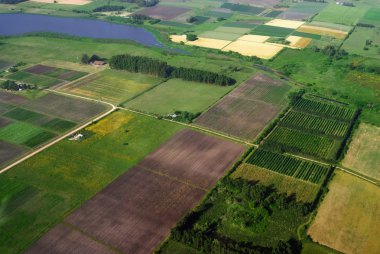 Aerial view of agriculture green fields clipart