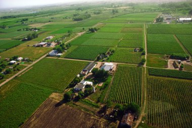 Aerial view of green fields clipart