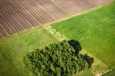 Agriculture fields from airplane clipart