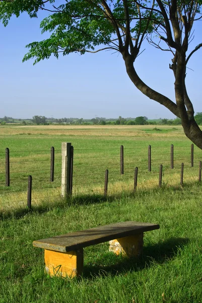 Countyside view with bench on green field. — Stock Photo, Image