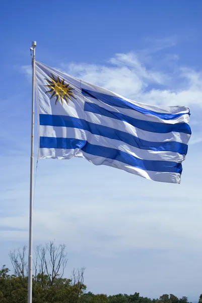 Uruguay zászló — Stock Fotó
