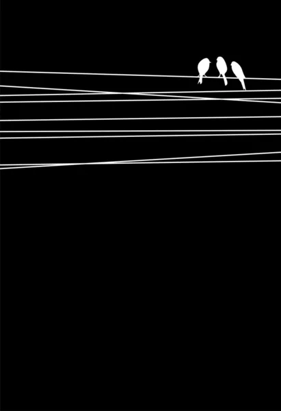 Composition oiseaux noirs et blancs — Image vectorielle