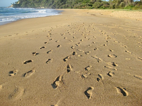 stock image footprints