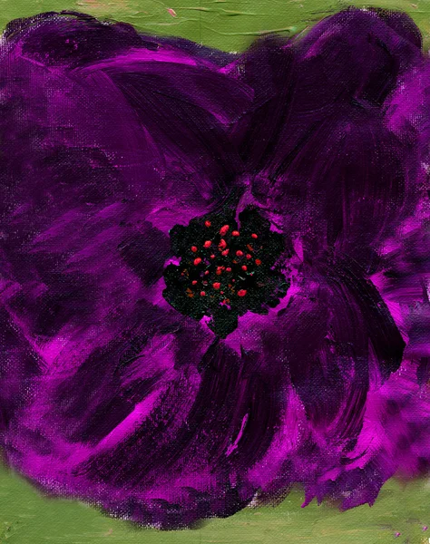 Flor —  Fotos de Stock