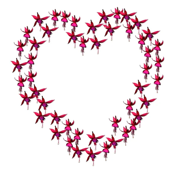 Border of pink fuchsia flowers in shape of heart — Stock Photo, Image