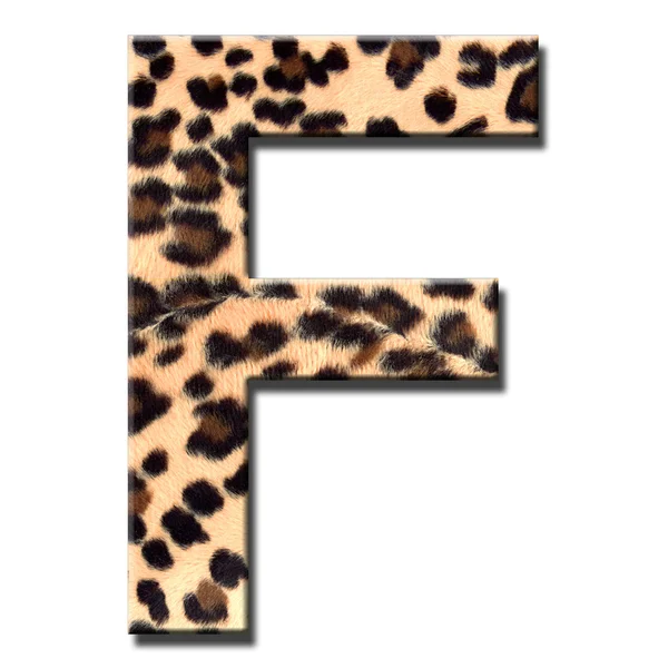 Leopard alphabet — Stock Photo, Image