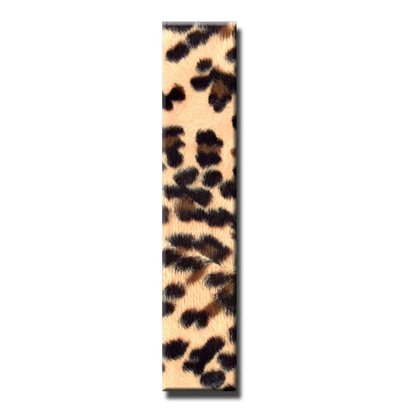 Leopard абетка — стокове фото