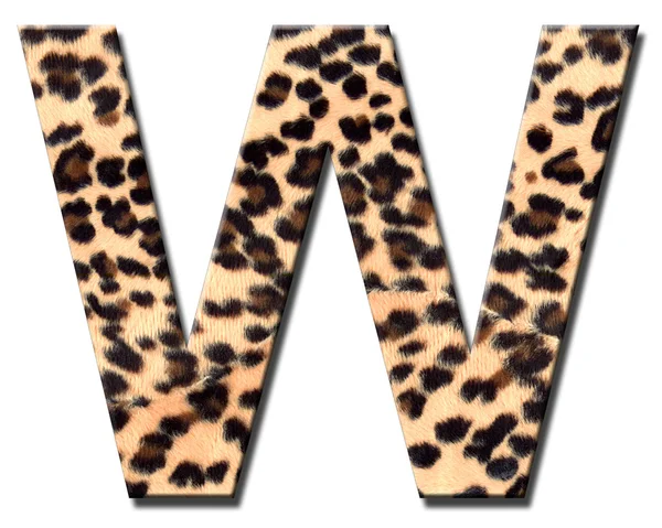 Leopard alphabet — Stock Photo, Image