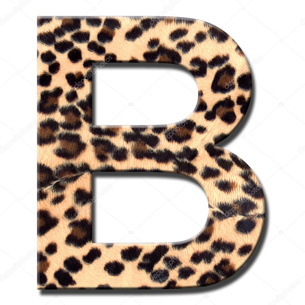 Leopard alphabet — Stock Photo © jacquimartin #9345832