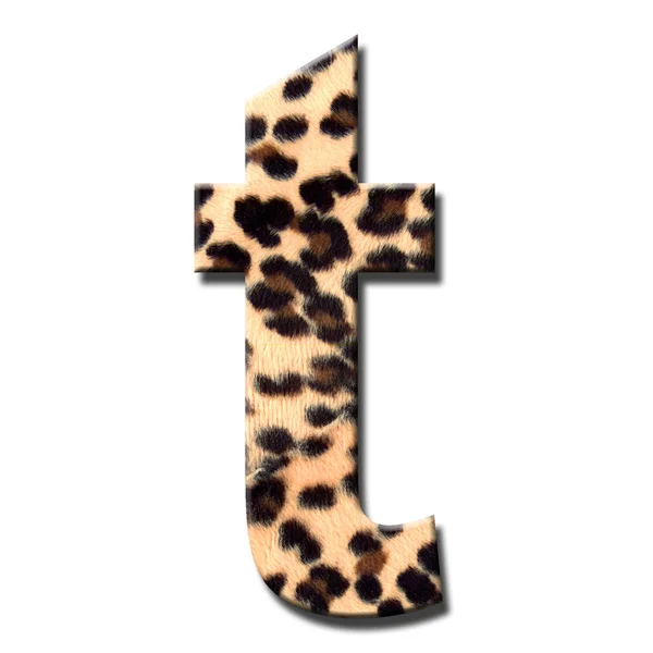 Leopardí abeceda — Stock fotografie