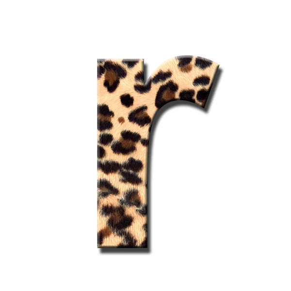 Leopard ábécé — Stock Fotó