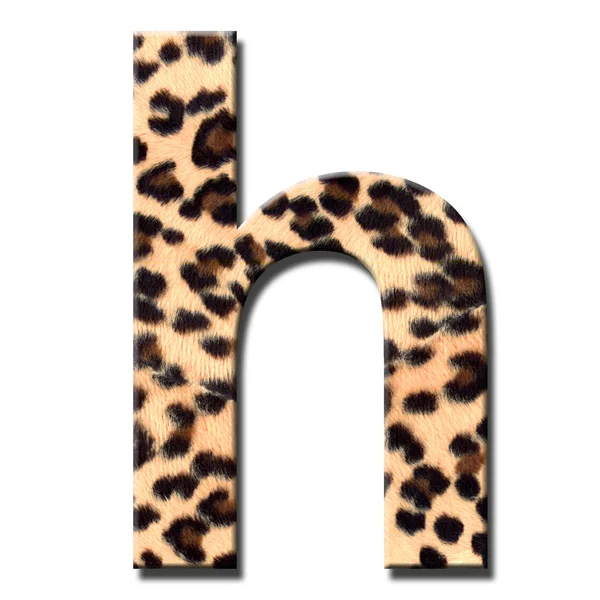 Leopard alfabetet — Stockfoto