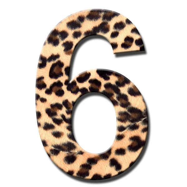 Numero di leopardo — Foto Stock