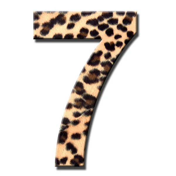 Leopard number — Stock Photo, Image