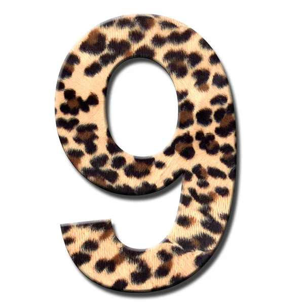 Numero di leopardo — Foto Stock