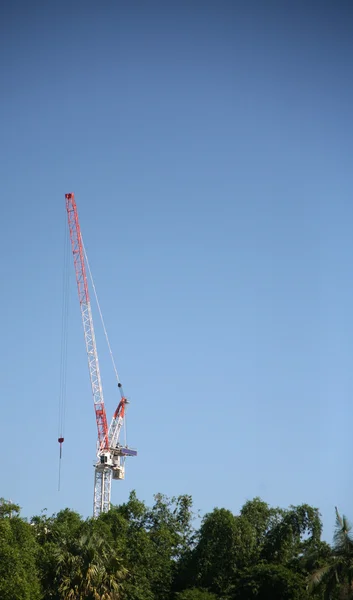 Cranes — Stock Photo, Image