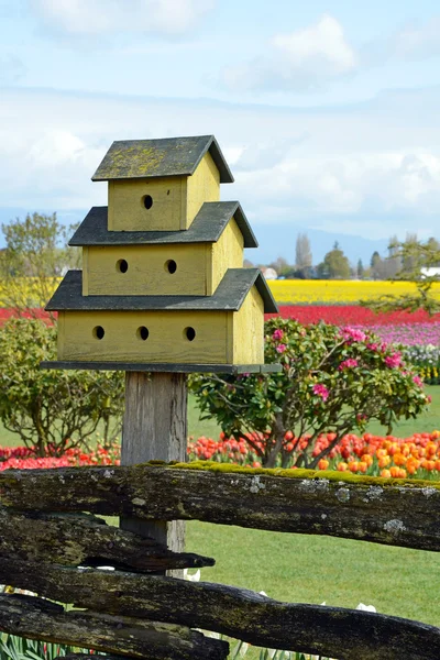 Żółty birdhouse w ogrodzie — Zdjęcie stockowe