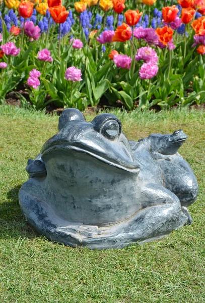 Камінь жаба — стокове фото