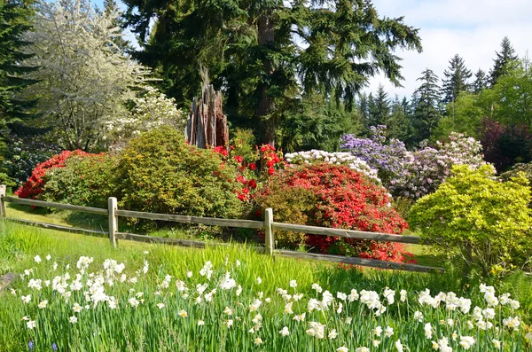 Ogród botaniczny wiosna — Zdjęcie stockowe