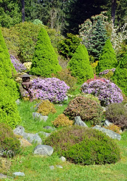 Colorato giardino botanico — Foto Stock