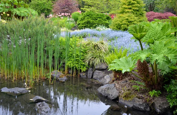 Пишні ставок, сад — стокове фото
