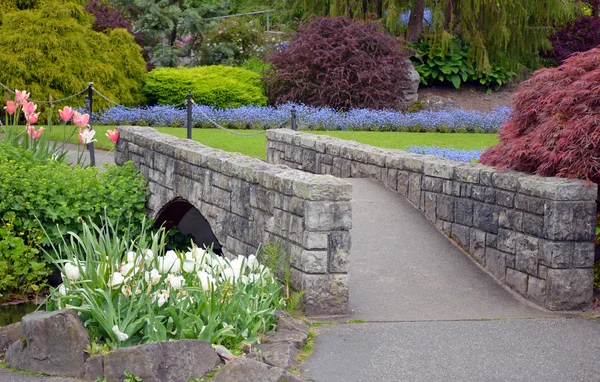 Garden walkway — Stock Photo, Image