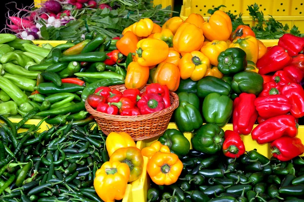 Légumes colorés — Photo