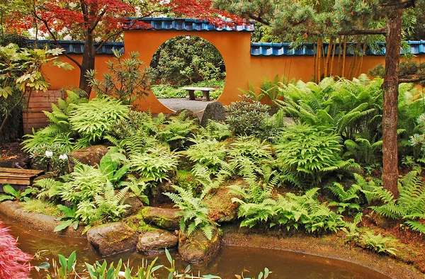 Botanical fern garden — Stock Photo, Image