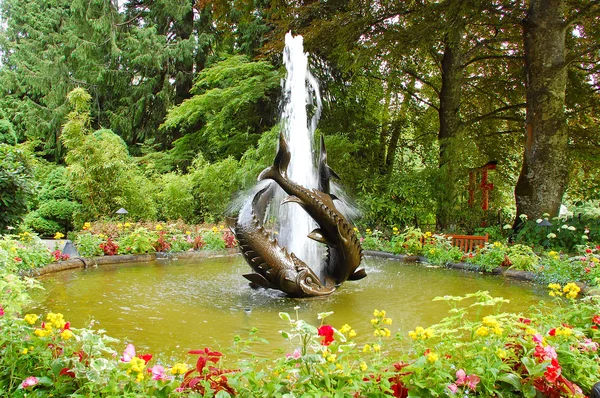 Fontaine sculpture poisson — Photo