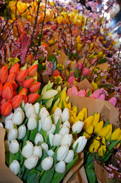 Tulpe Blumenstrauß — Stockfoto
