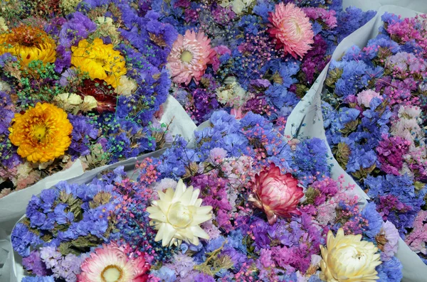 Pink og blå blomsterbuket - Stock-foto