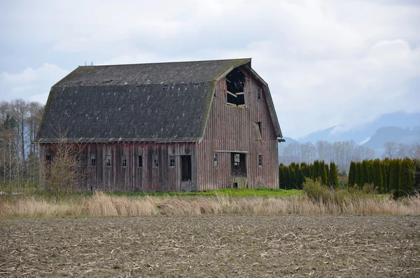 Abandoned barn — Stock Photo, Image