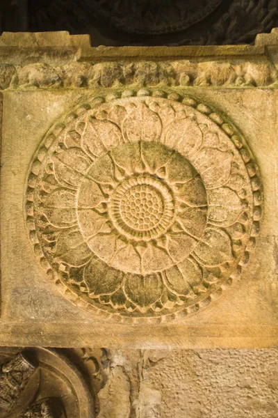 Lotus Bloom on Stone — Stock Photo, Image