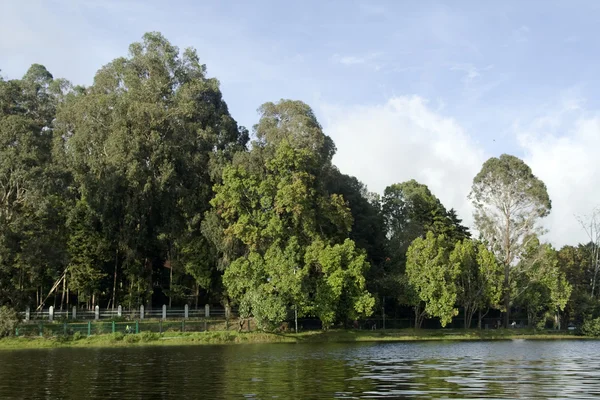 Verde intorno al lago Kodaikanal — Foto Stock