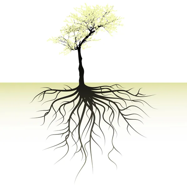 郁郁葱葱的树木与根 — 图库矢量图片