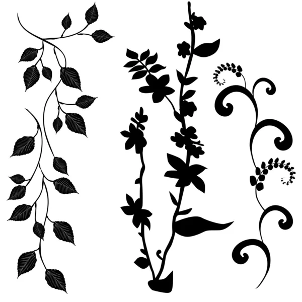 Collection pour designers, set vectoriel végétal — Image vectorielle