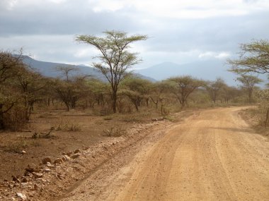 Desert road in Tsavo East National Park clipart