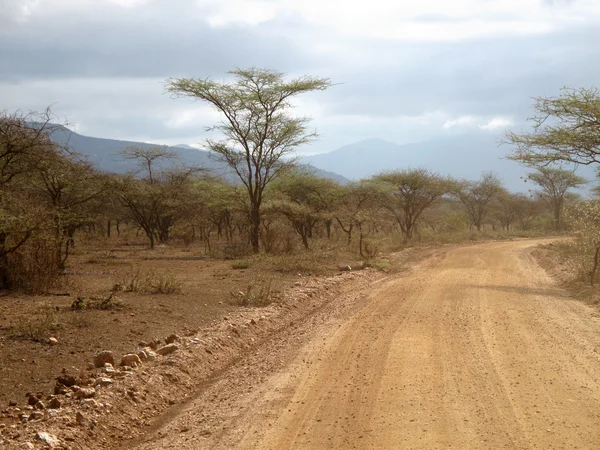 Desert road in Tsavo East National Park — Stock Photo, Image