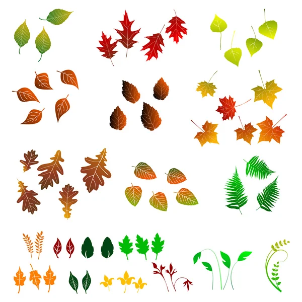 Leaf, collezione per designer — Vettoriale Stock
