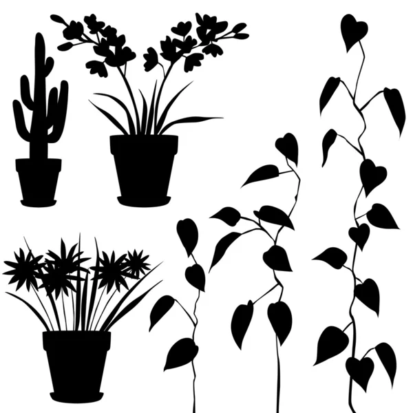 Collection, for designers, plant vector — Stock Vector