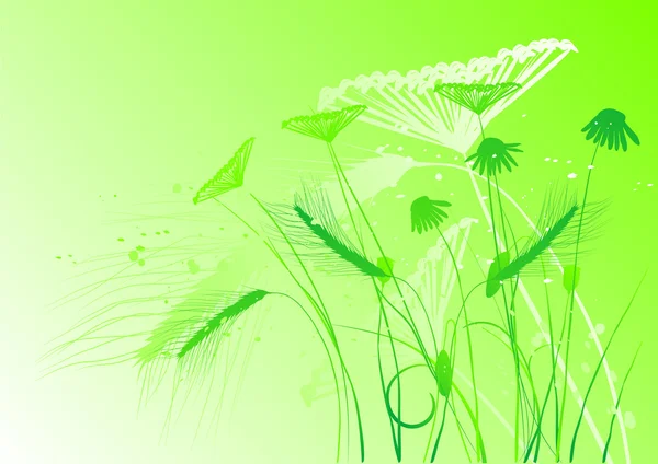 Fond floral, prairie — Image vectorielle