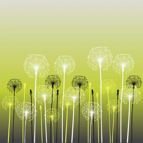Floral background, dandelion — Stock Vector