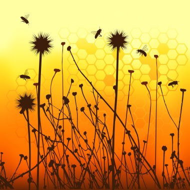 Vector grass silhouettes backgrounds and bees clipart