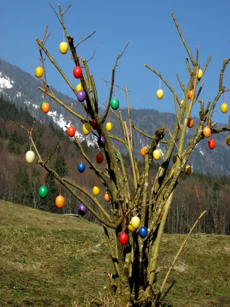 Некоторые разноцветные пасхальные яйца висят на ветвях — стоковое фото