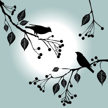 Birds on the branch. Summer days. clipart