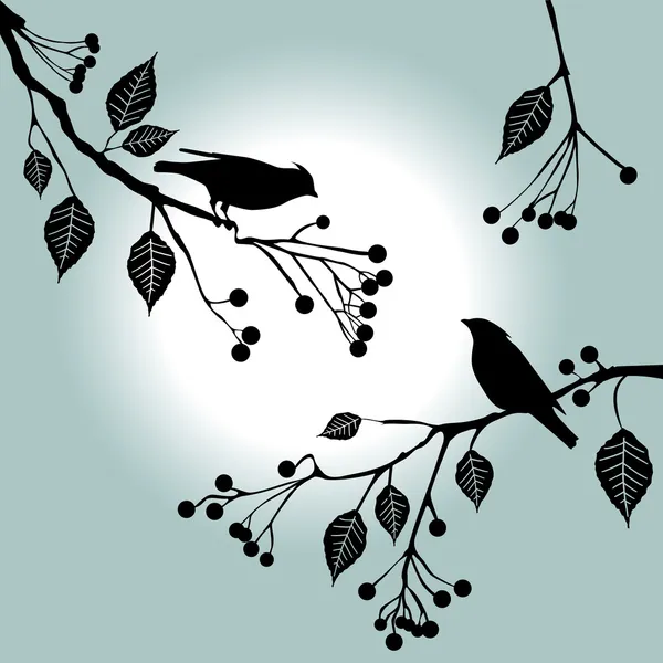 Ptáci na větvi. letní dny. — Stockový vektor