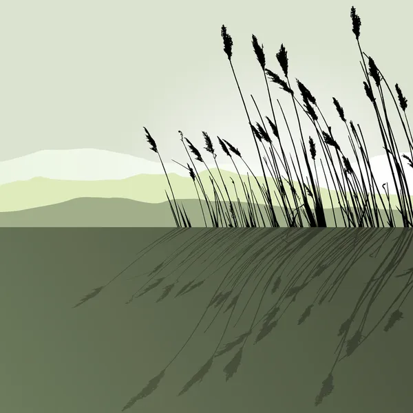 Reeds in the water - vector — Stock Vector