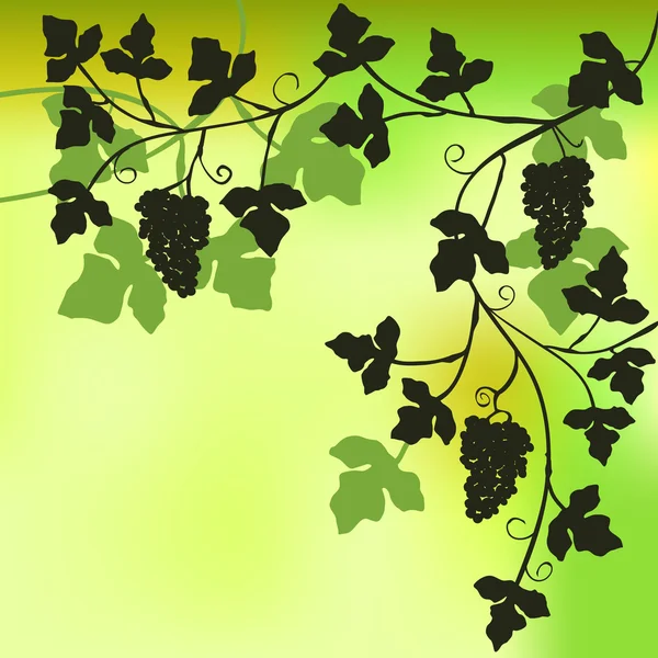 Bouquet de raisins, fond de plante — Image vectorielle