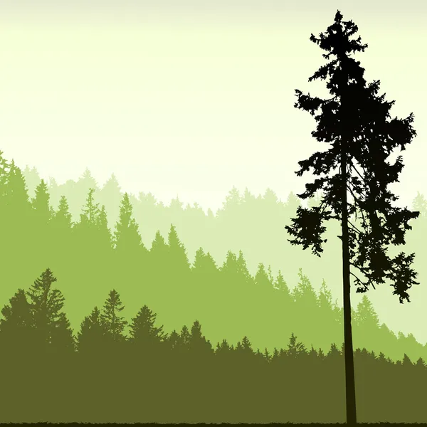 抽象画の背景の木のシルエット — ストックベクタ