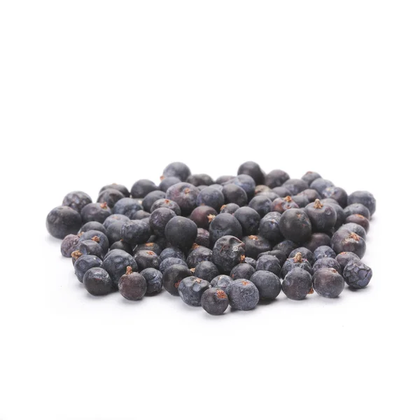 stock image Juniper berries